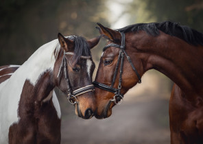 " ФРЕЯ" Пазл 1500 элемент. PZL- 1500/ 29 Грация любви